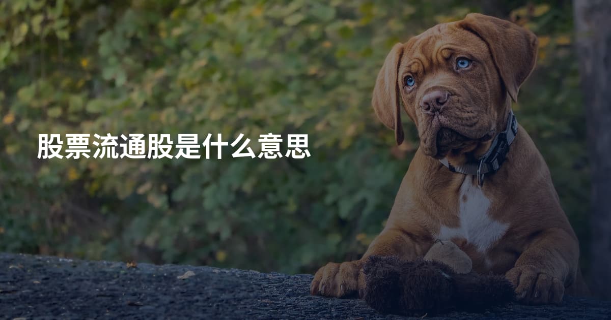 股票流通股是什么意思