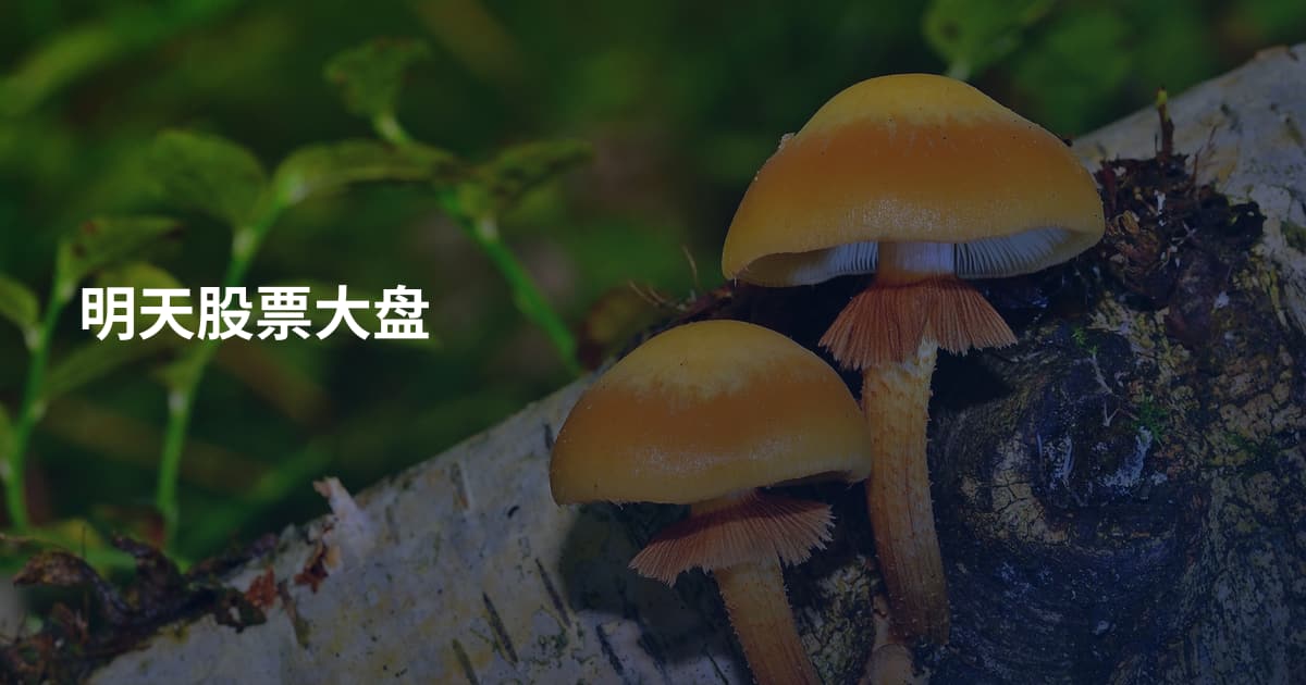 明天股票大盘
