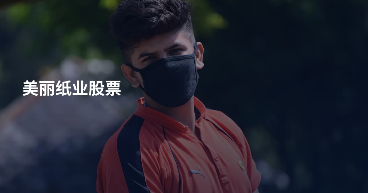 美丽纸业股票