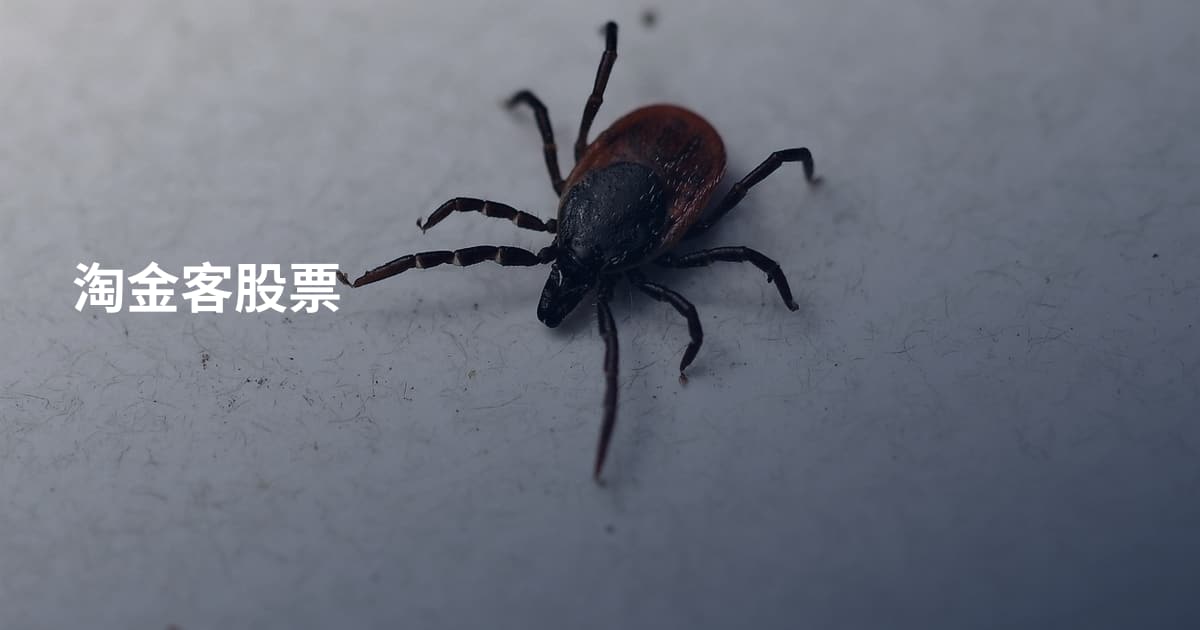 淘金客股票