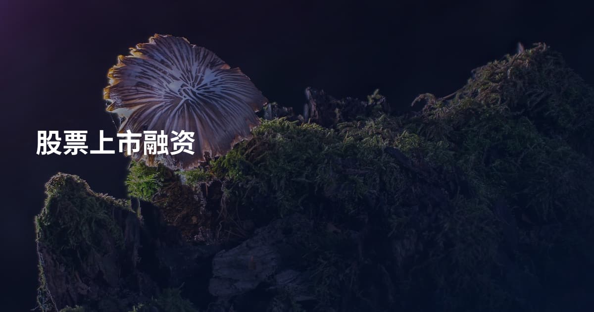 股票上市融资
