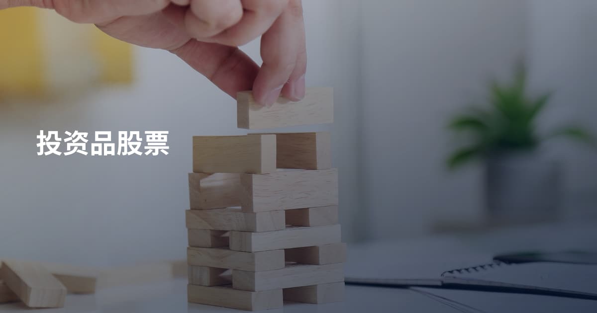 投资品股票