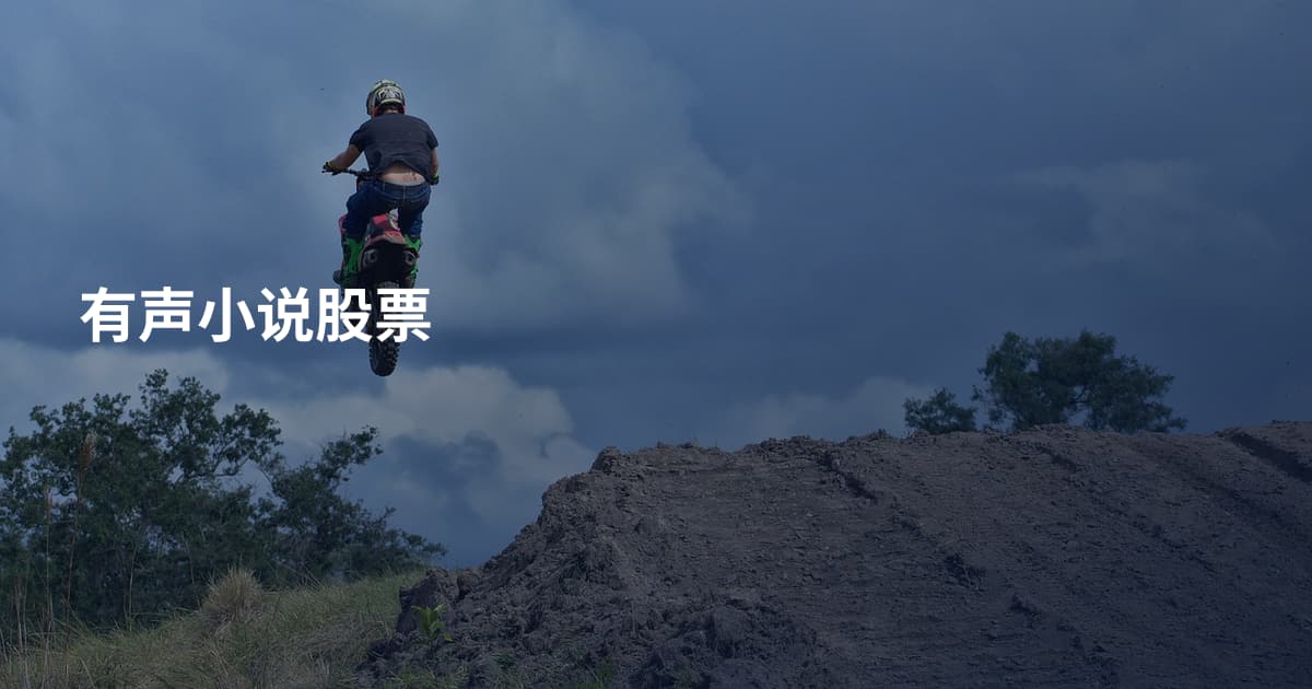有声小说股票