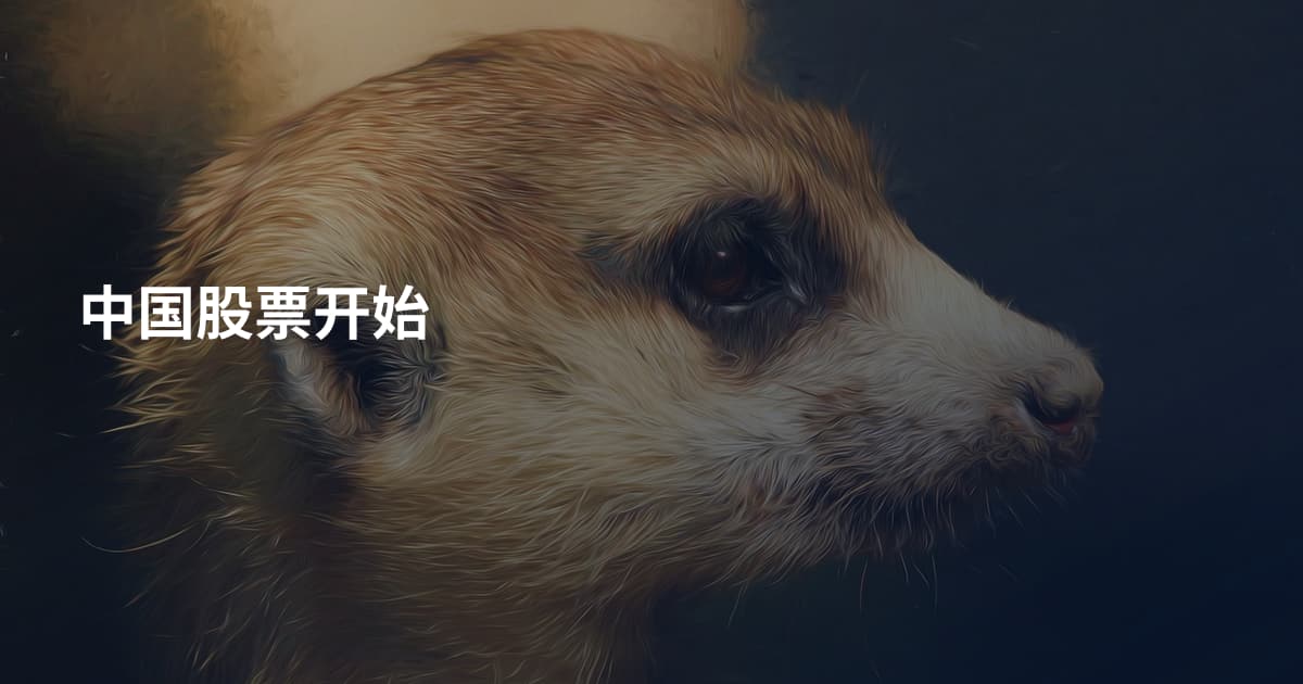 中国股票开始