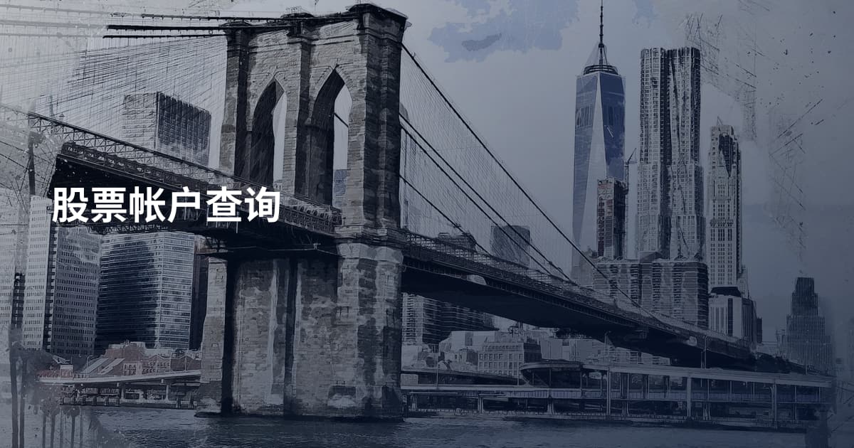 股票帐户查询