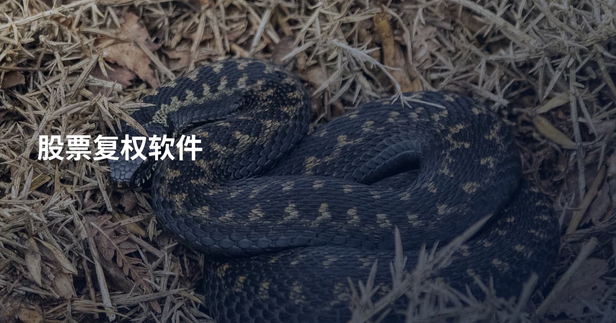 股票复权软件