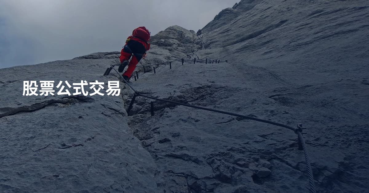 股票公式交易
