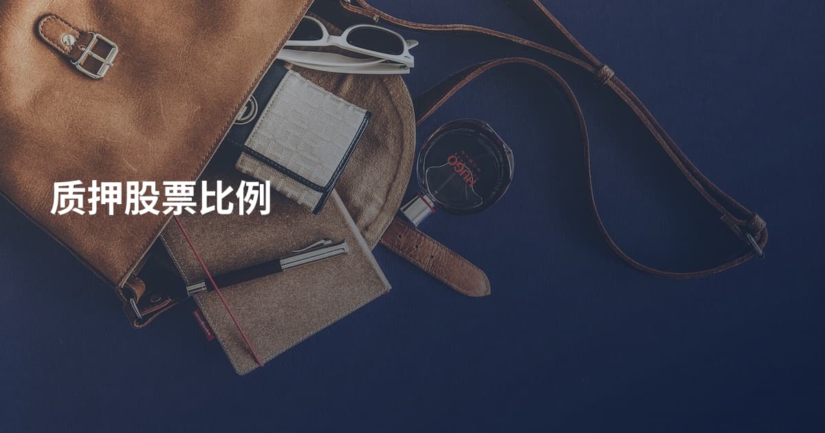 质押股票比例