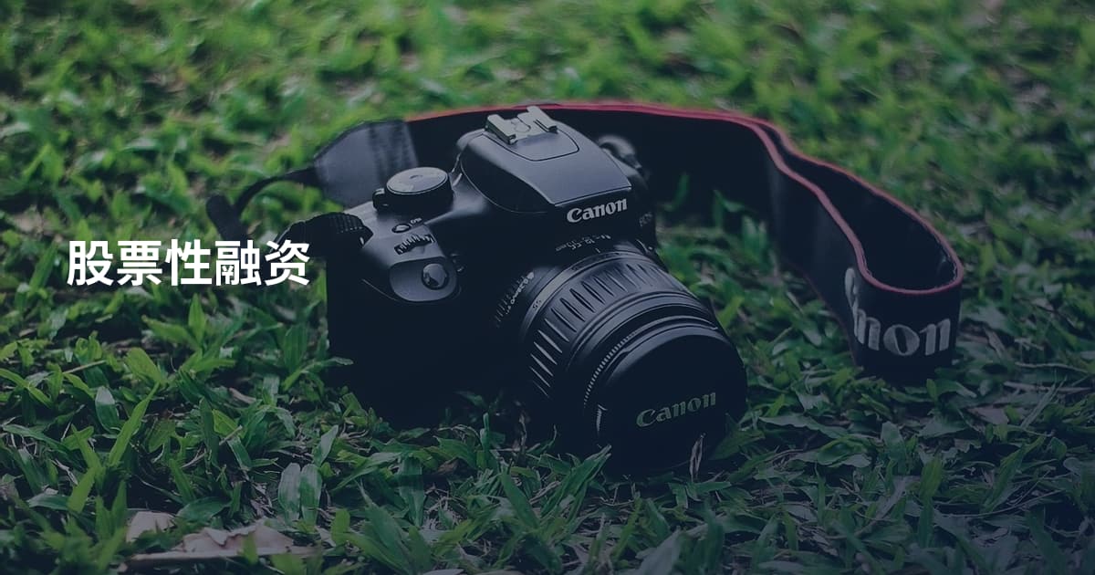 股票性融资