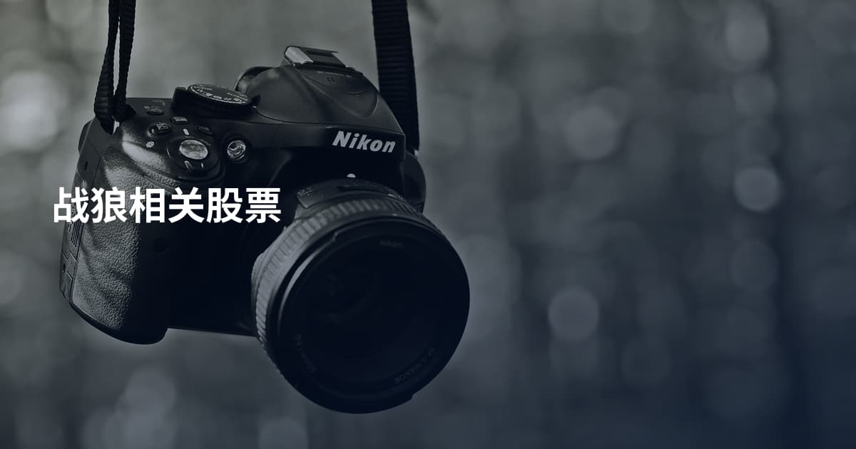 战狼相关股票