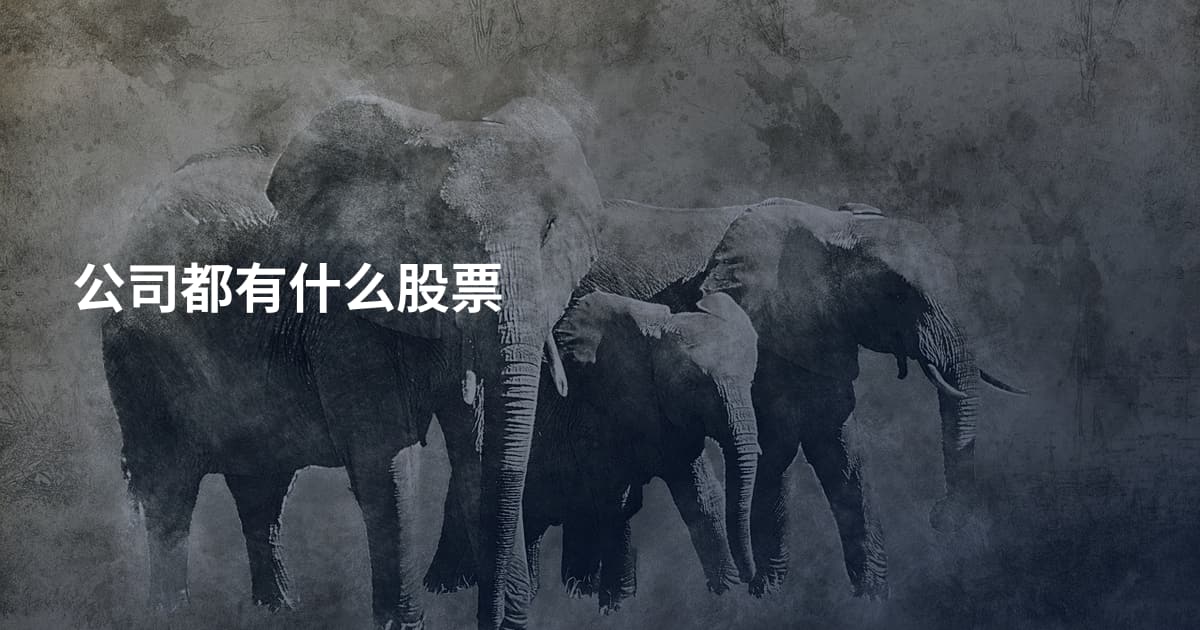 公司都有什么股票