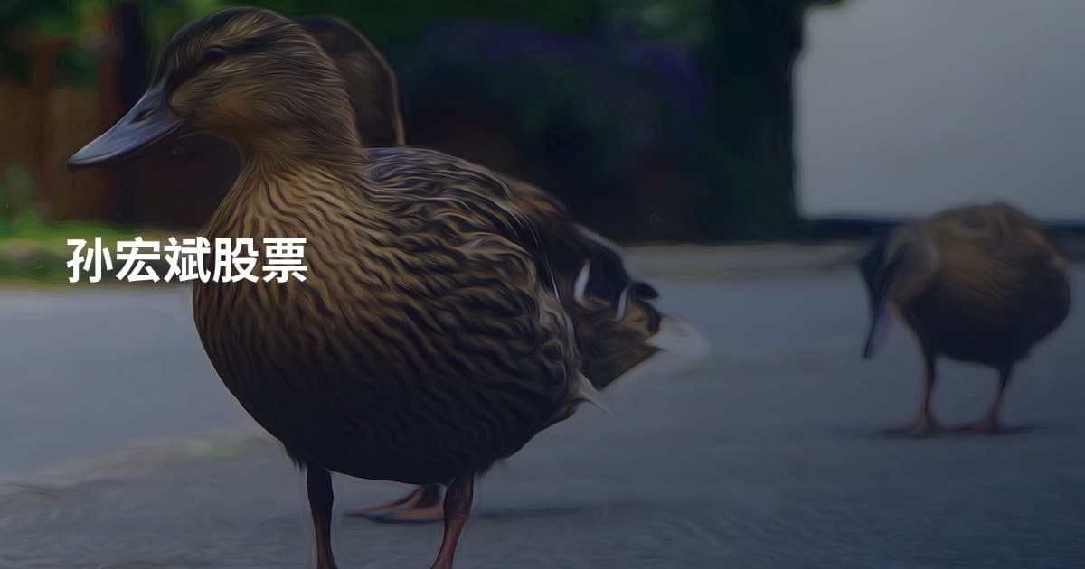 孙宏斌股票
