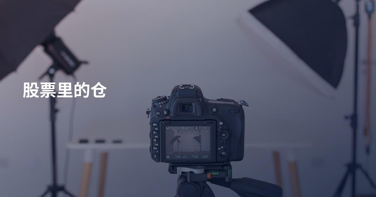 股票里的仓