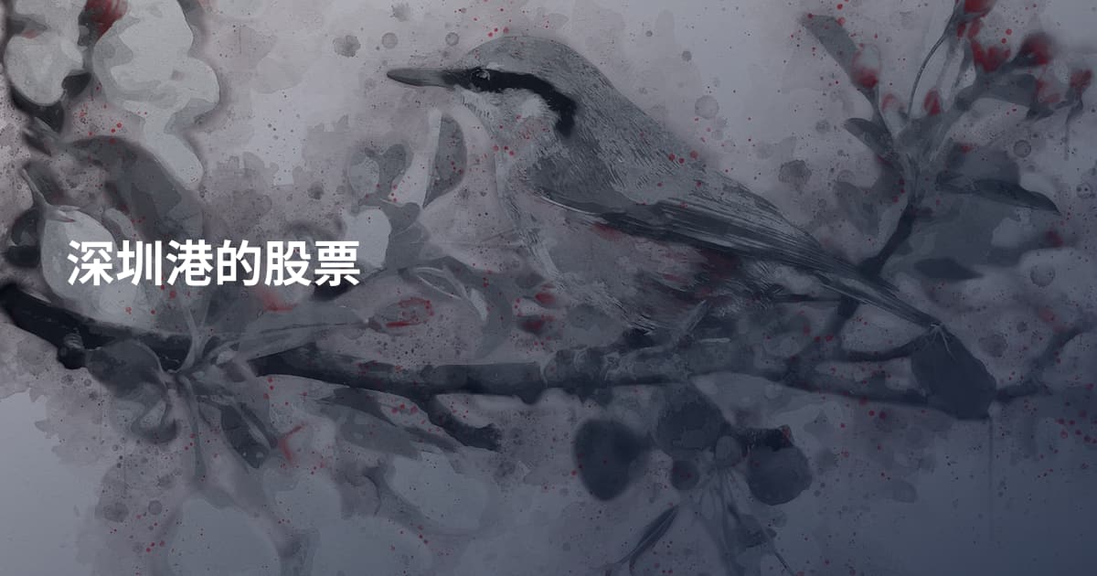 深圳港的股票