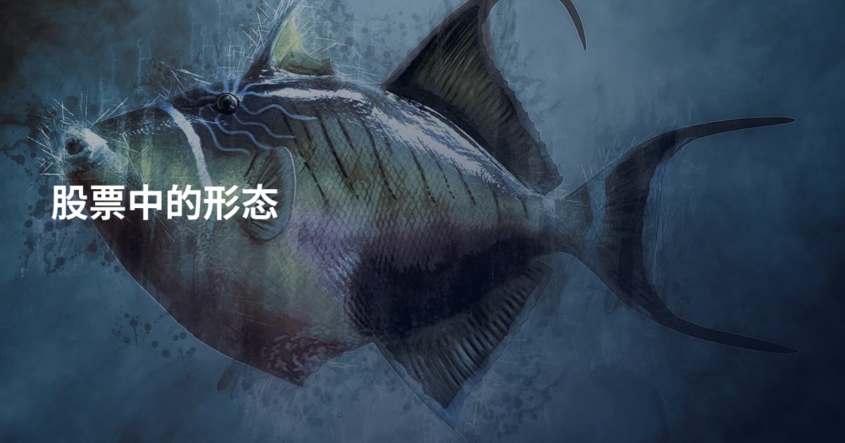 股票中的形态