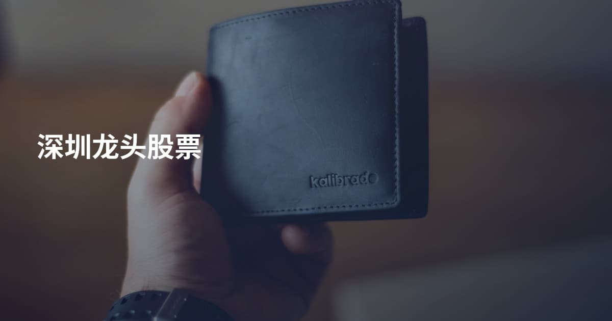 深圳龙头股票