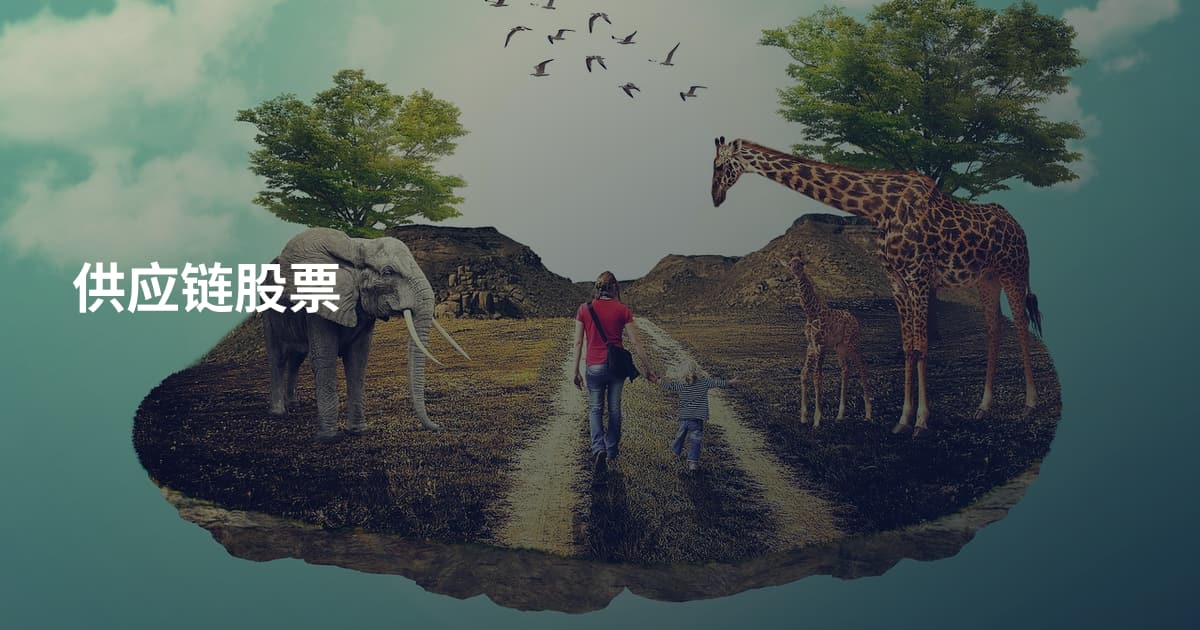 供应链股票