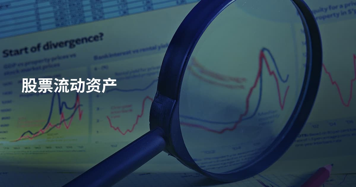 股票流动资产
