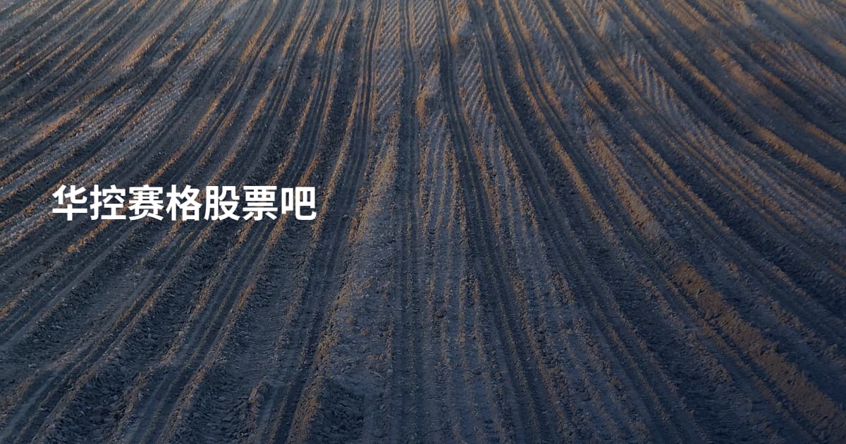 华控赛格股票吧