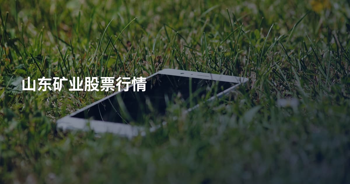 山东矿业股票行情
