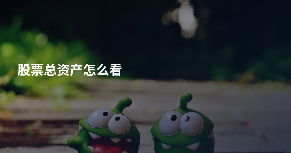 股票总资产怎么看