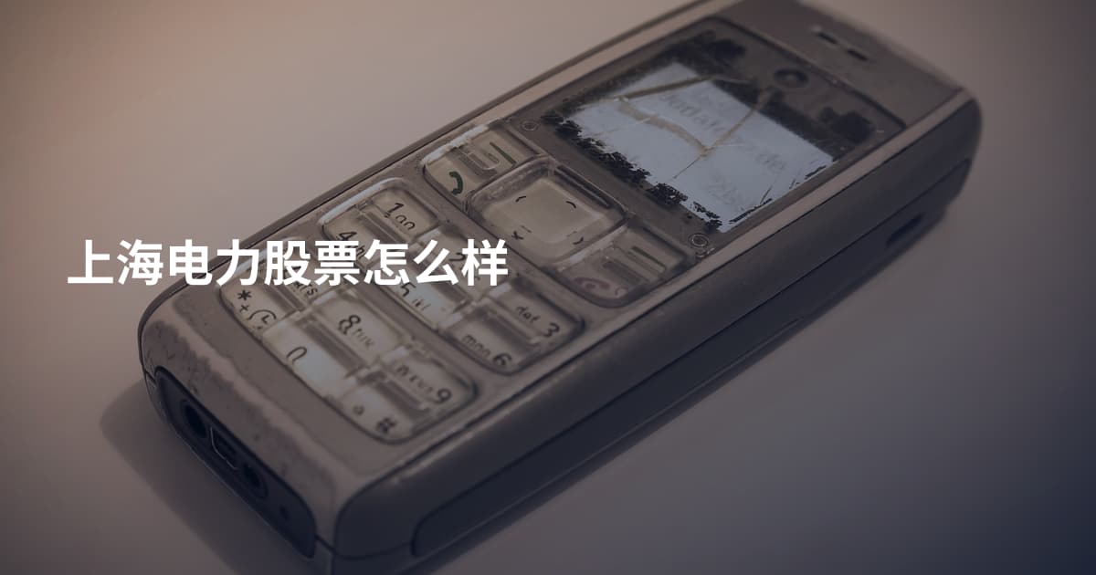 上海电力股票怎么样