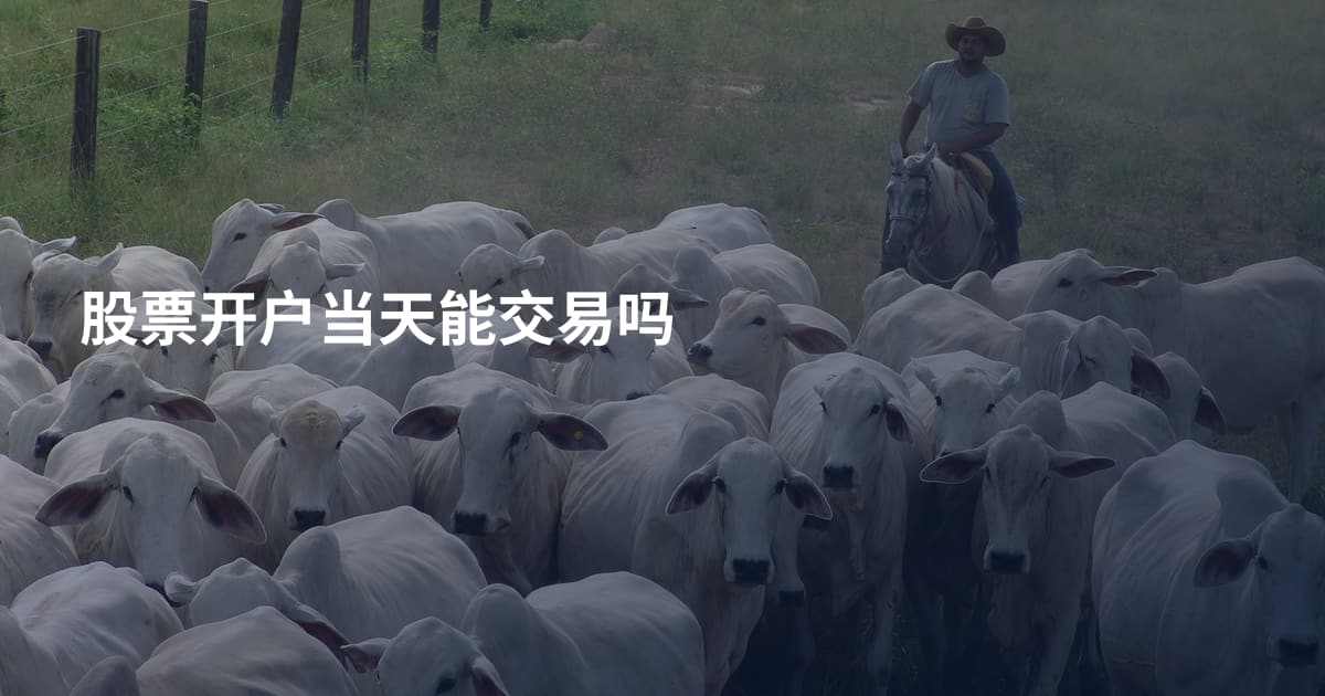 股票开户当天能交易吗