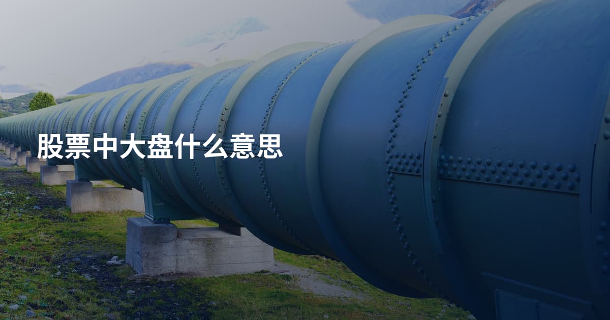 股票中大盘什么意思