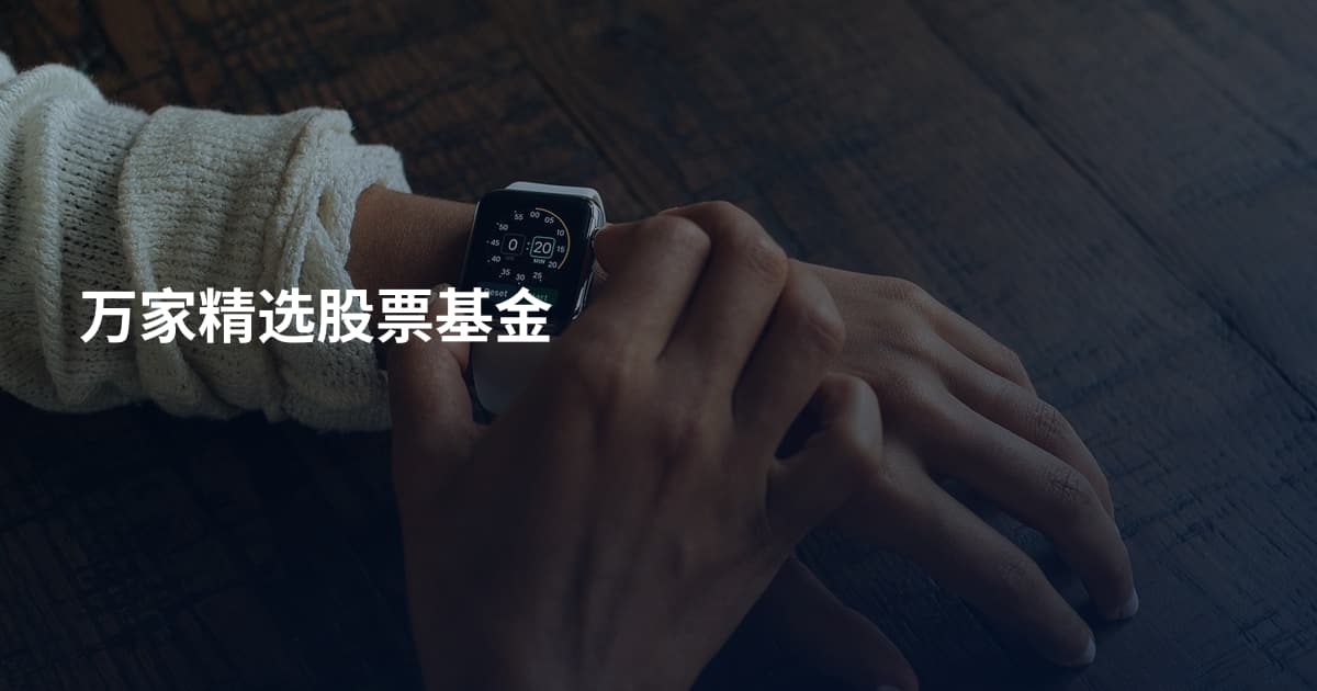 万家精选股票基金