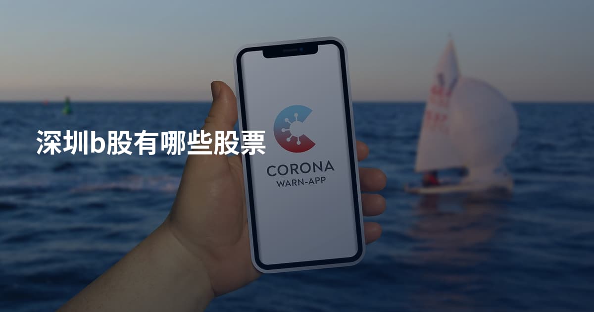 深圳b股有哪些股票