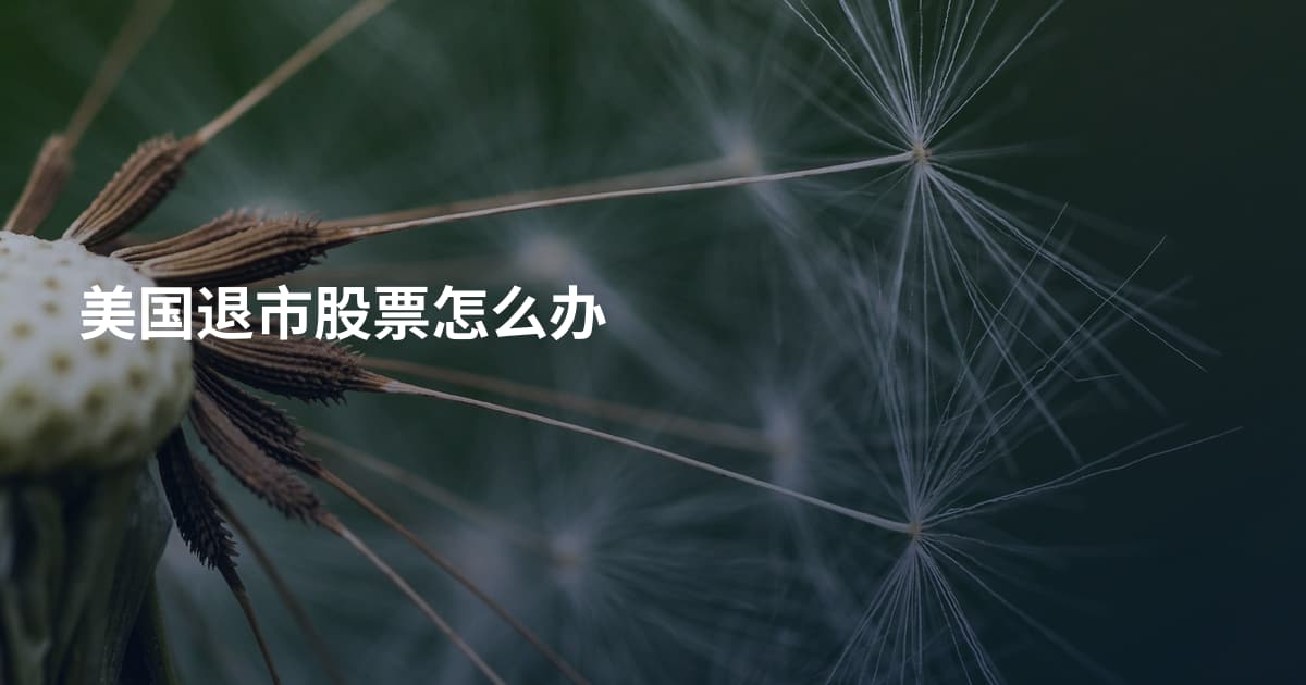 美国退市股票怎么办