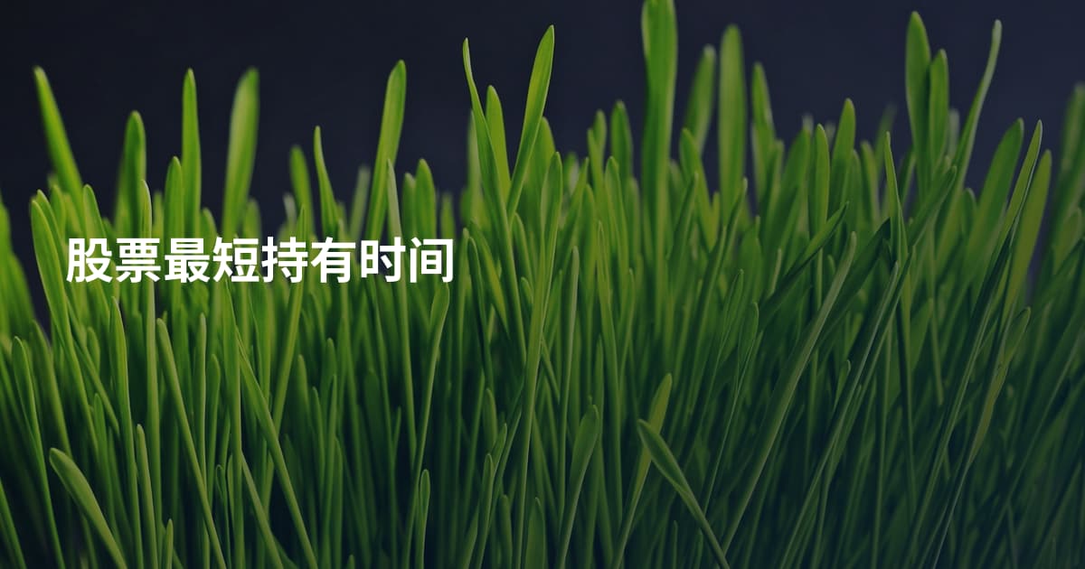 股票最短持有时间