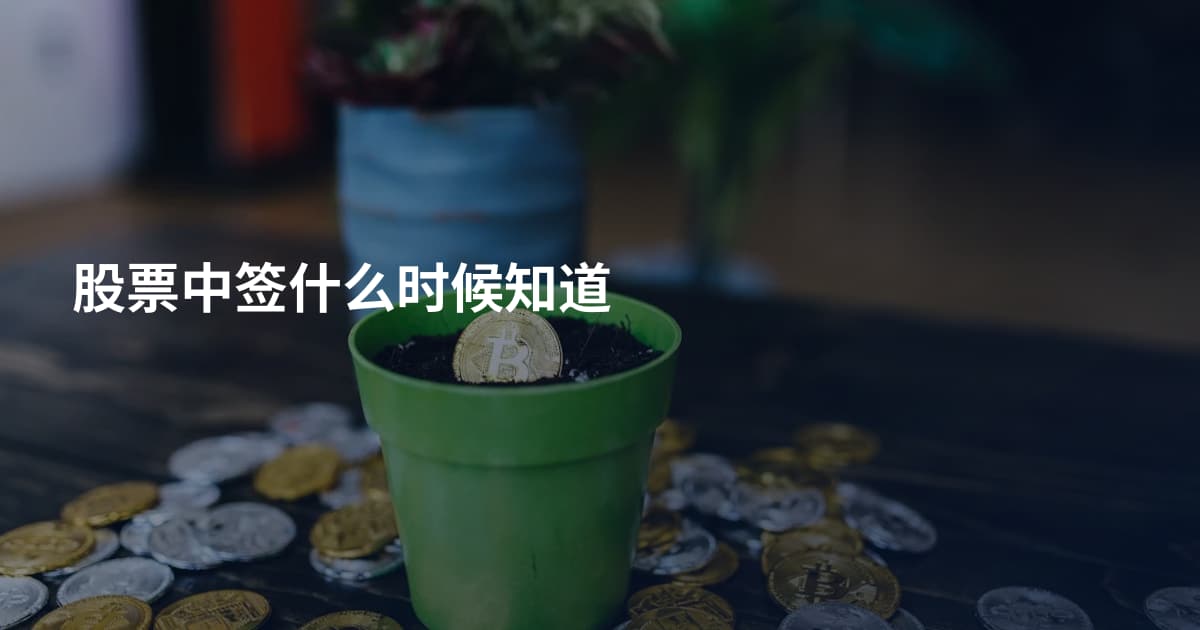 股票中签什么时候知道