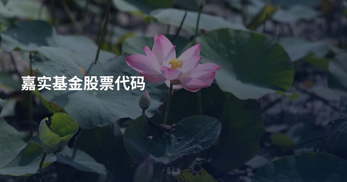 嘉实基金股票代码