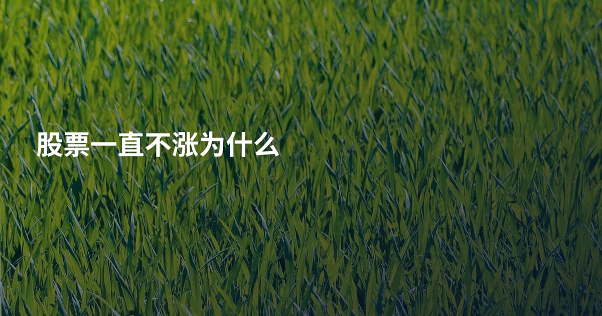股票一直不涨为什么