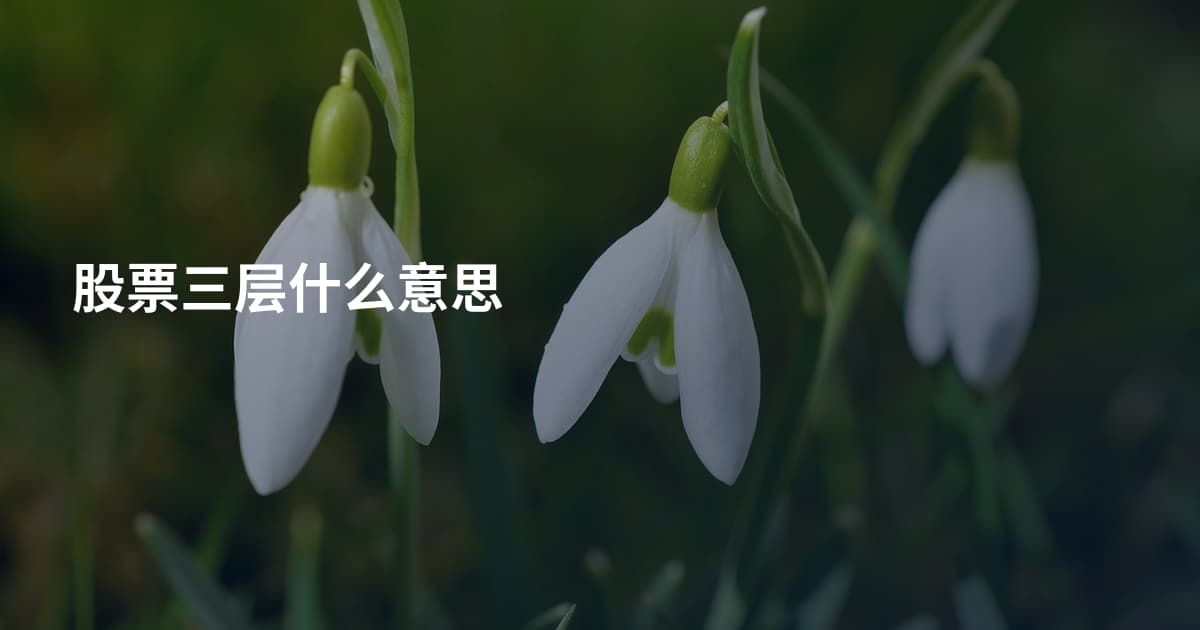 股票三层什么意思