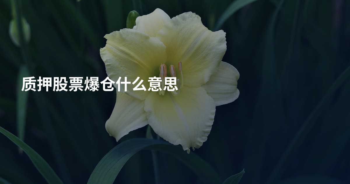 质押股票爆仓什么意思