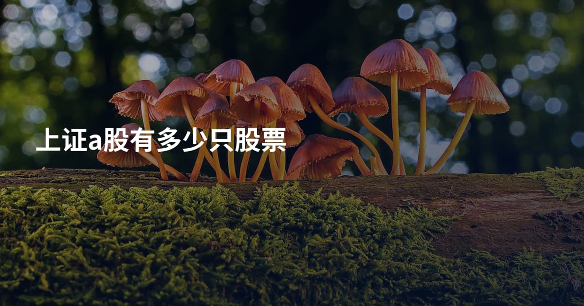 上证a股有多少只股票