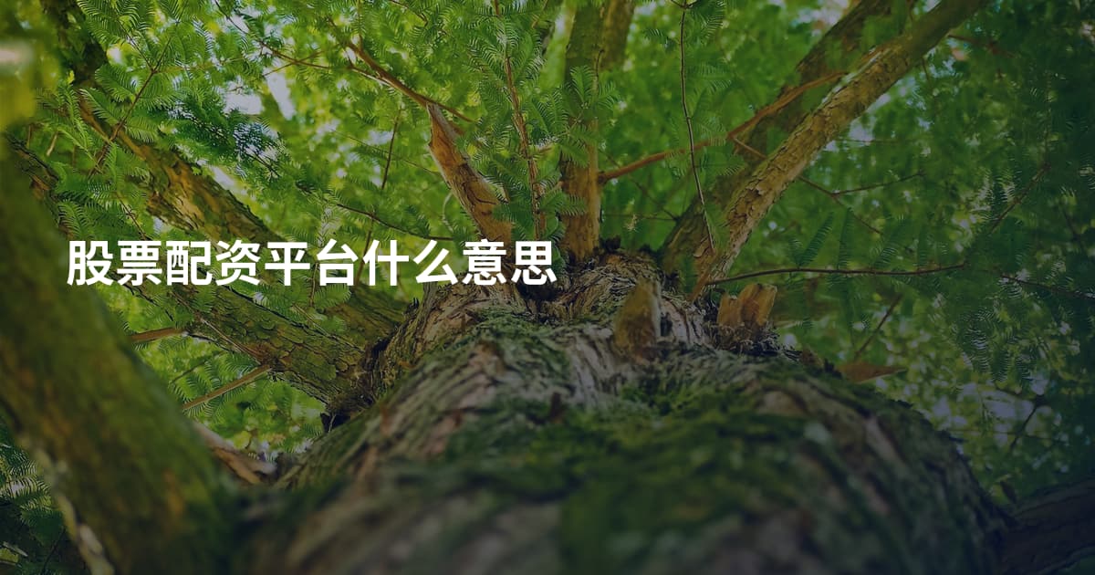 股票配资平台什么意思