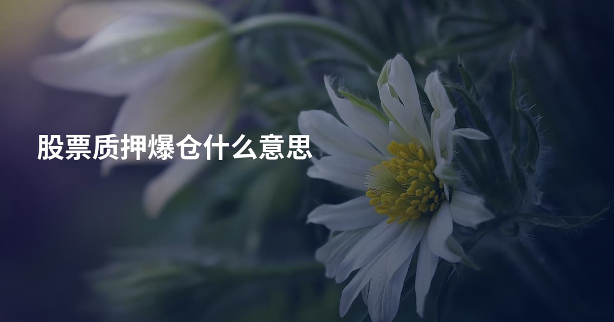 股票质押爆仓什么意思