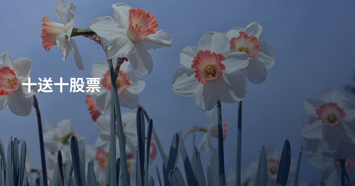 十送十股票