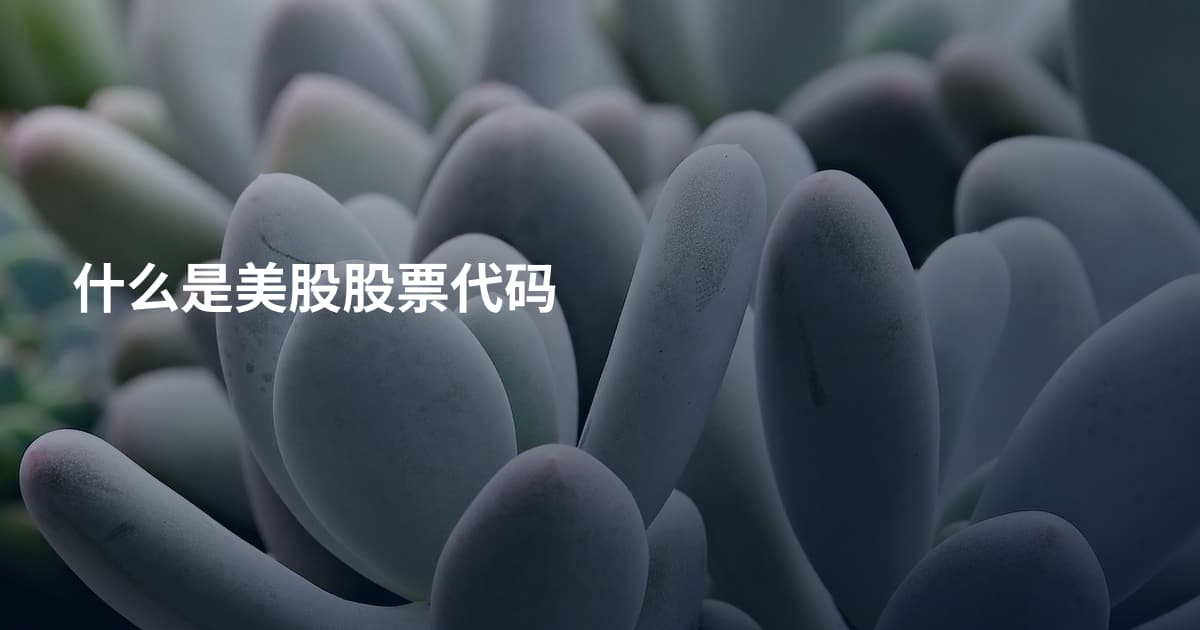 什么是美股股票代码