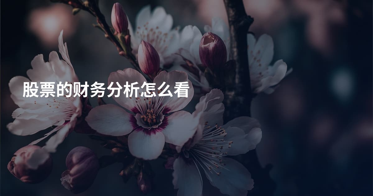 股票的财务分析怎么看