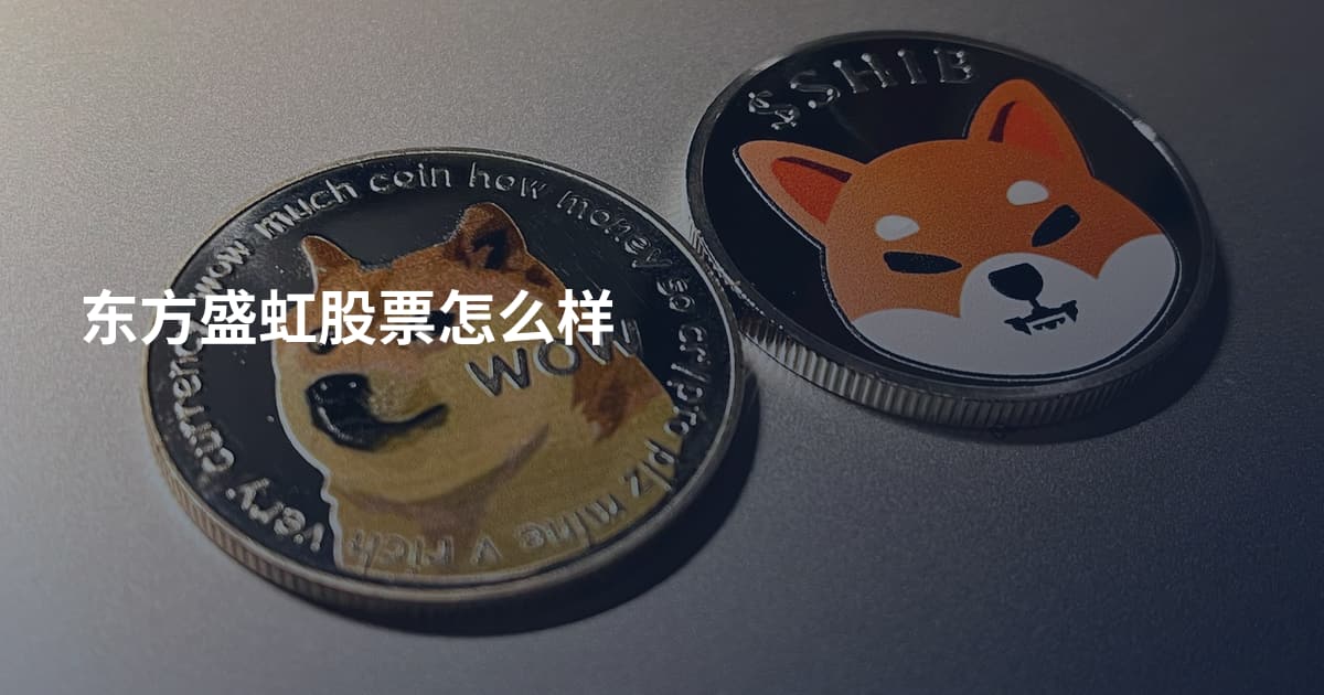 东方盛虹股票怎么样
