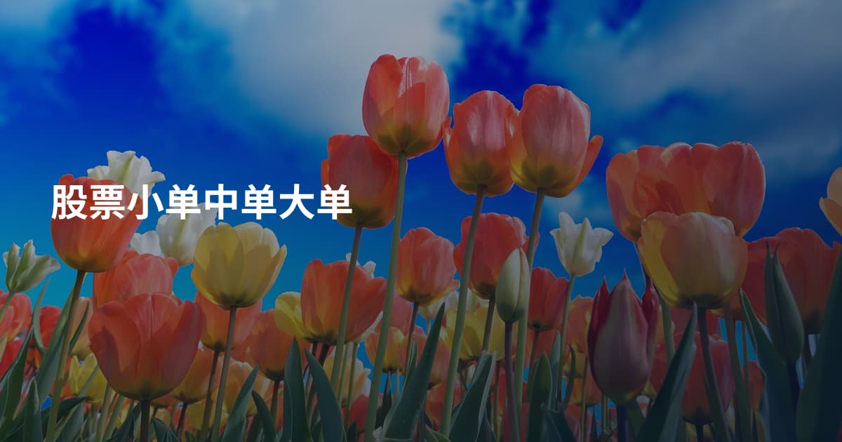 股票小单中单大单