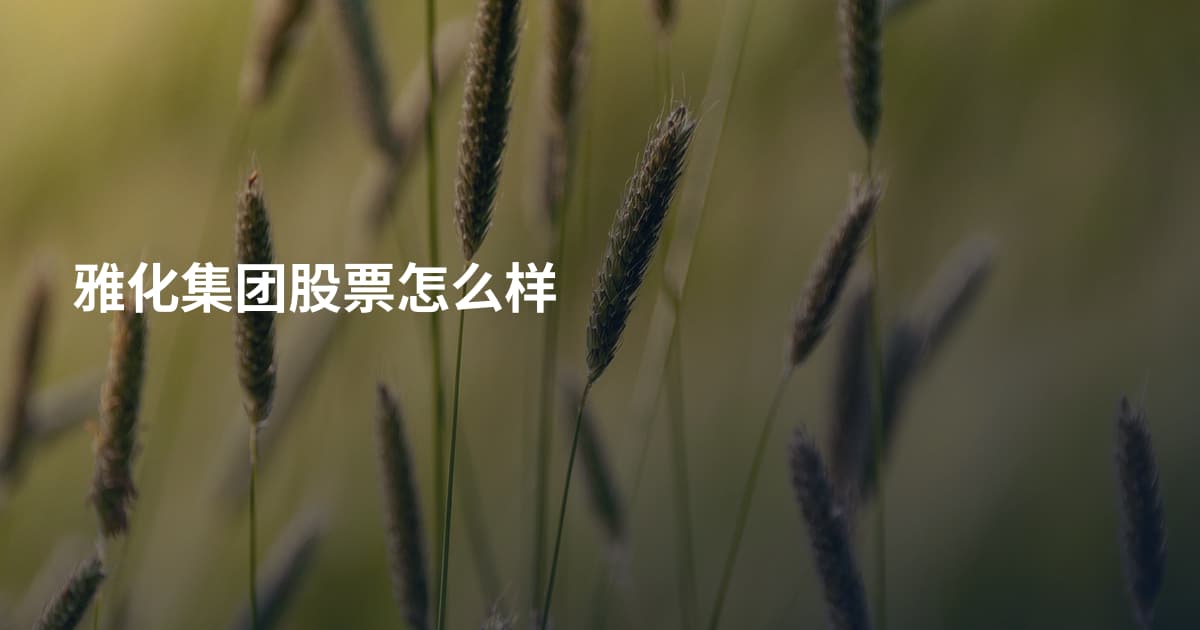 雅化集团股票怎么样