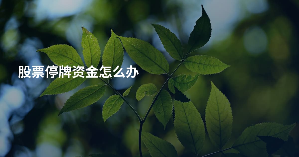 股票停牌资金怎么办