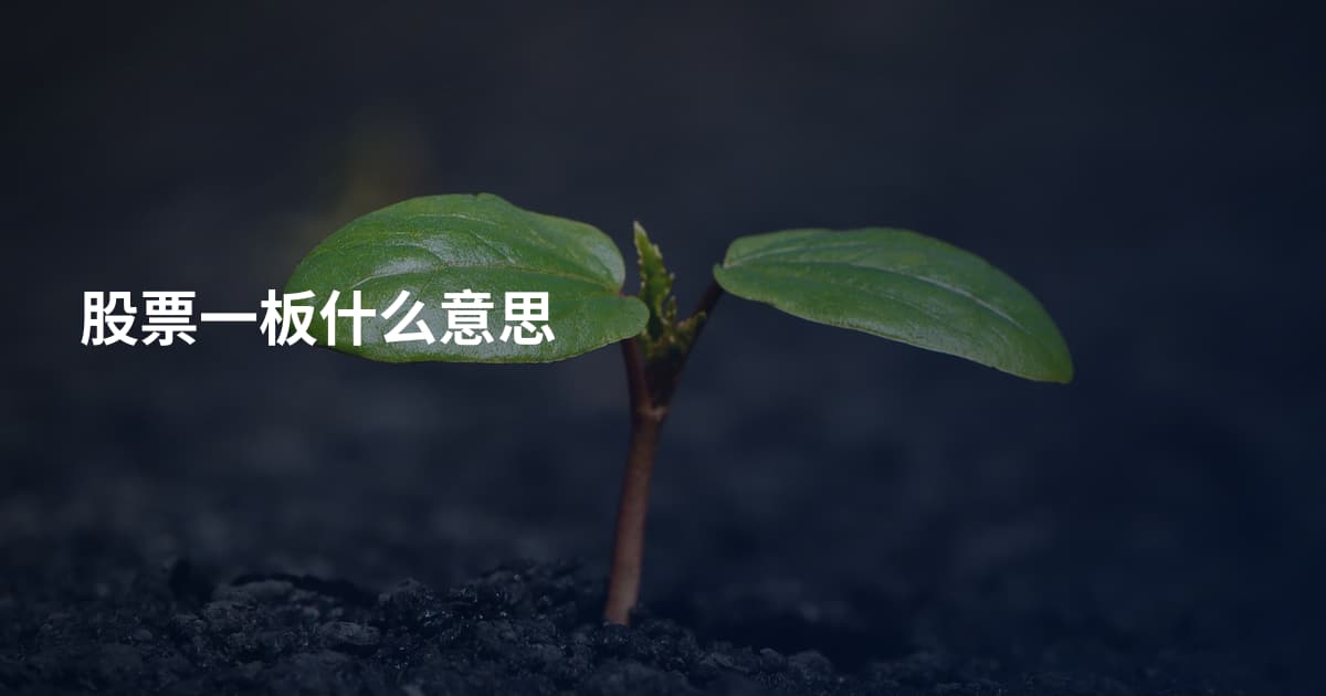 股票一板什么意思