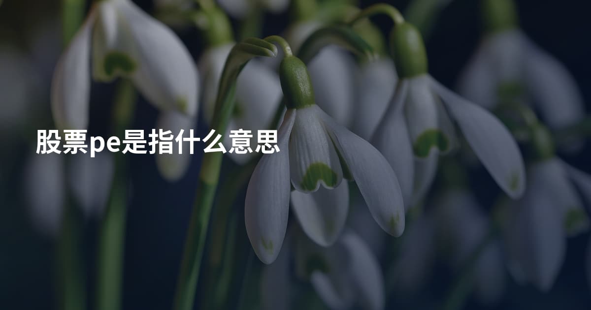 股票pe是指什么意思