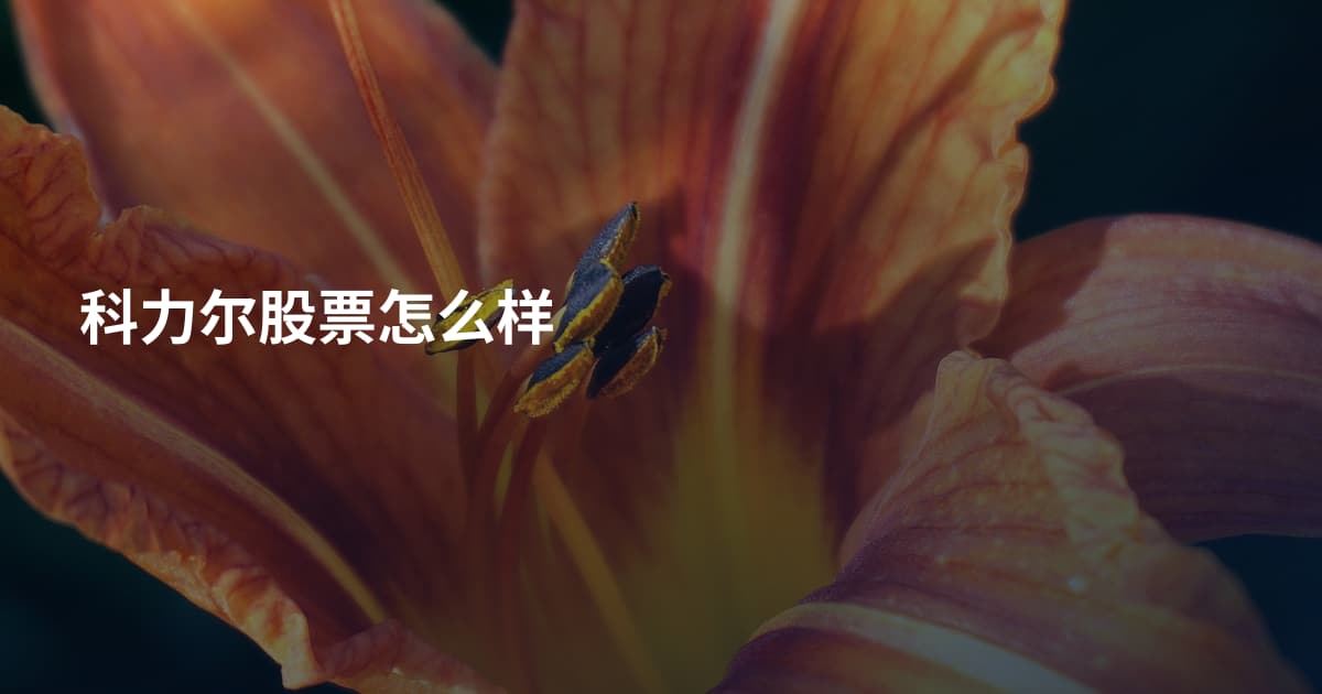 科力尔股票怎么样